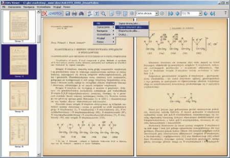 DjVu Browser Plug-in