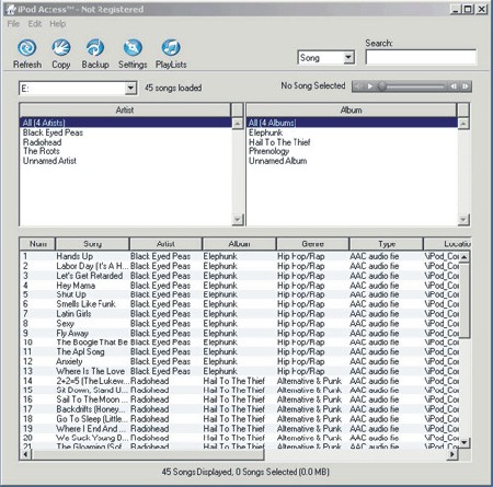 iPod Access